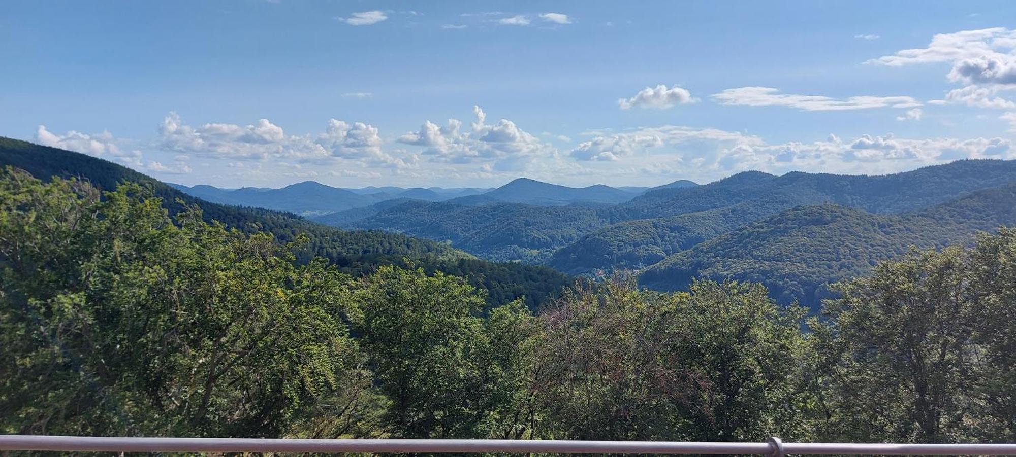 Appartement Waldliebe Hinterweidenthal